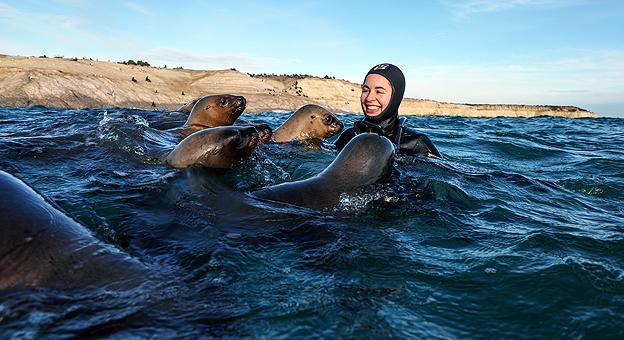 Buceo con lobos marinos