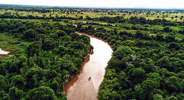 Pantanal (Brasil)