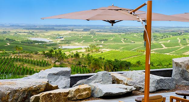 Bodega GArzon Punta del Este