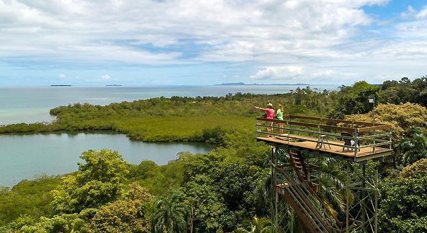 Canopy Tower at Tranquilo Bay eco adventure lodge Isla Bastimentos